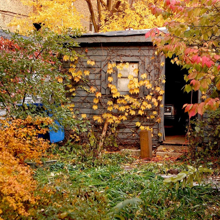 Autumnal landscape in an enclosed backyard with garage visible