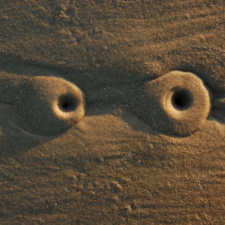 Two crab holes in the sand, sidelit