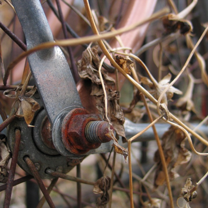 Close up of the axel on a vintage bike, covered in dead foliage