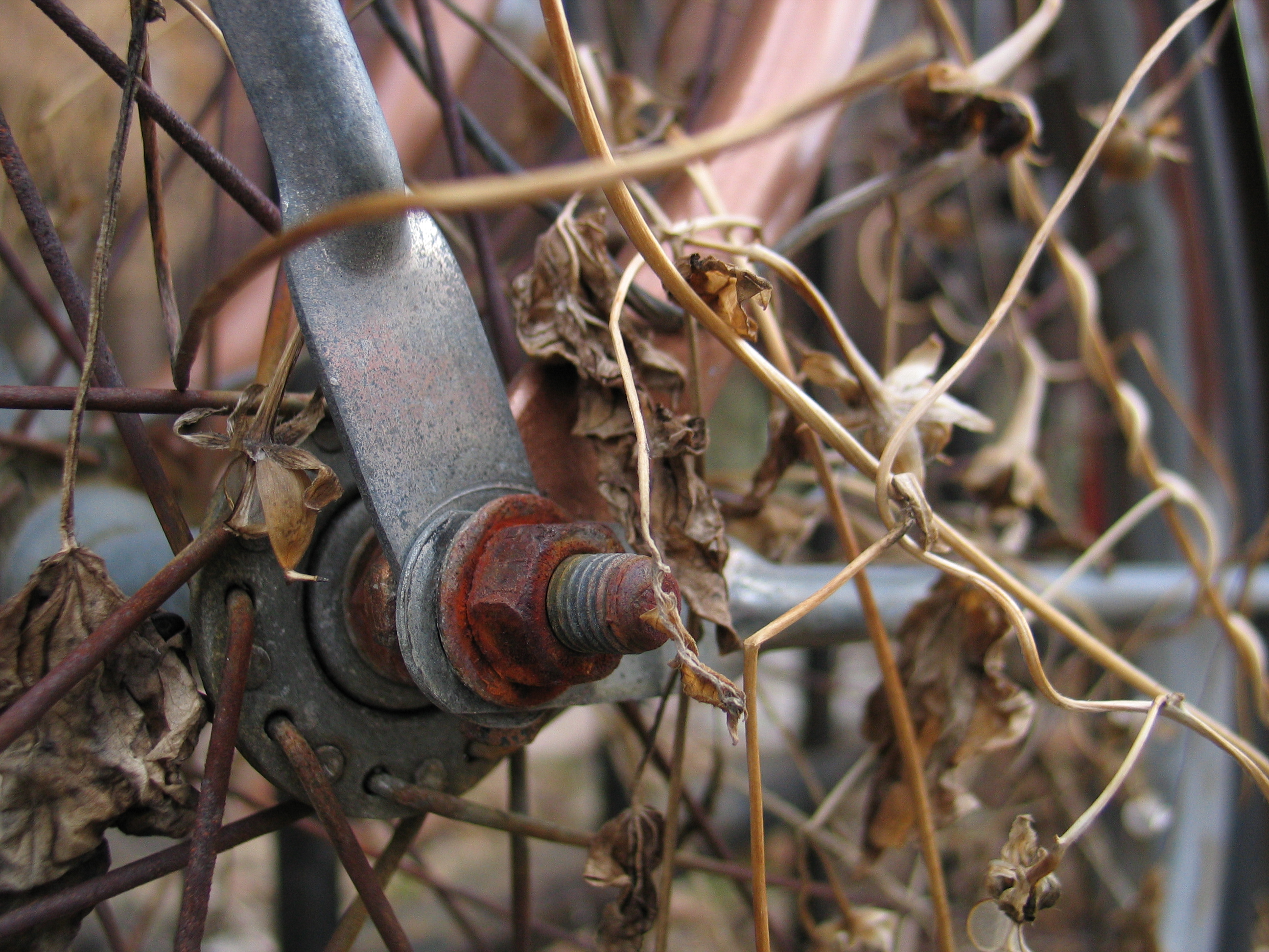 Close up of the axel on a vintage bike, covered in dead foliage