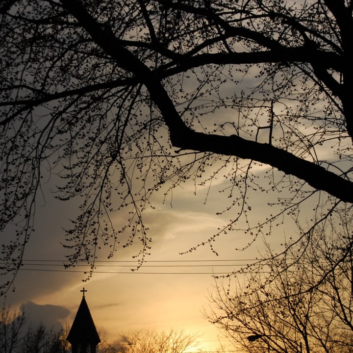church steeple Sunset with overhanging trees