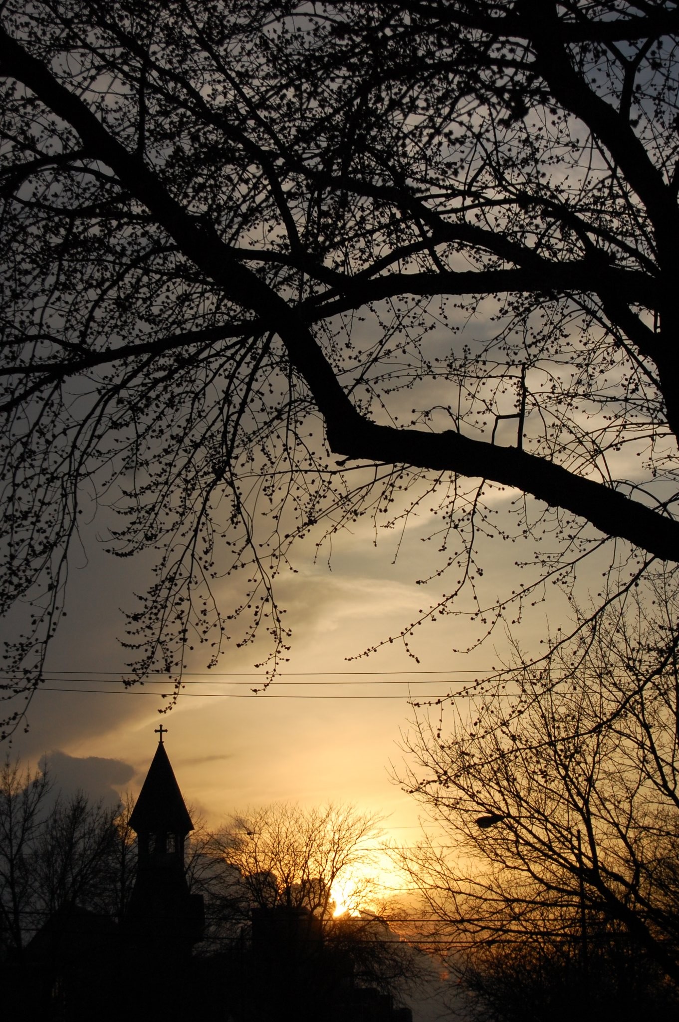  church steeple Sunset with overhanging trees