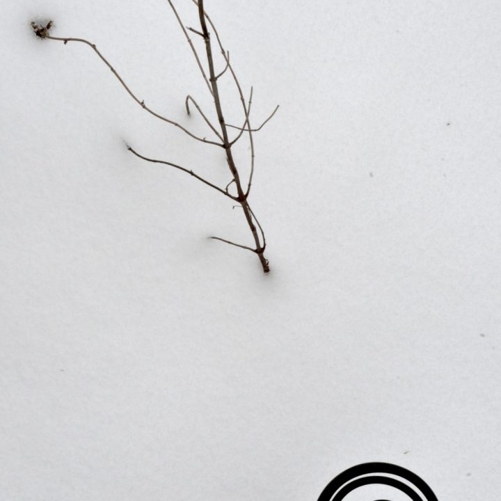 Iron decoration with twigs protruding from snowfall