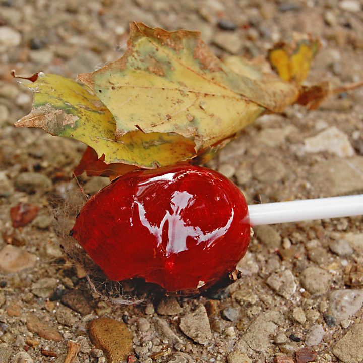 Red lollipop abandon on the pavement, with a yellow leaf on top.