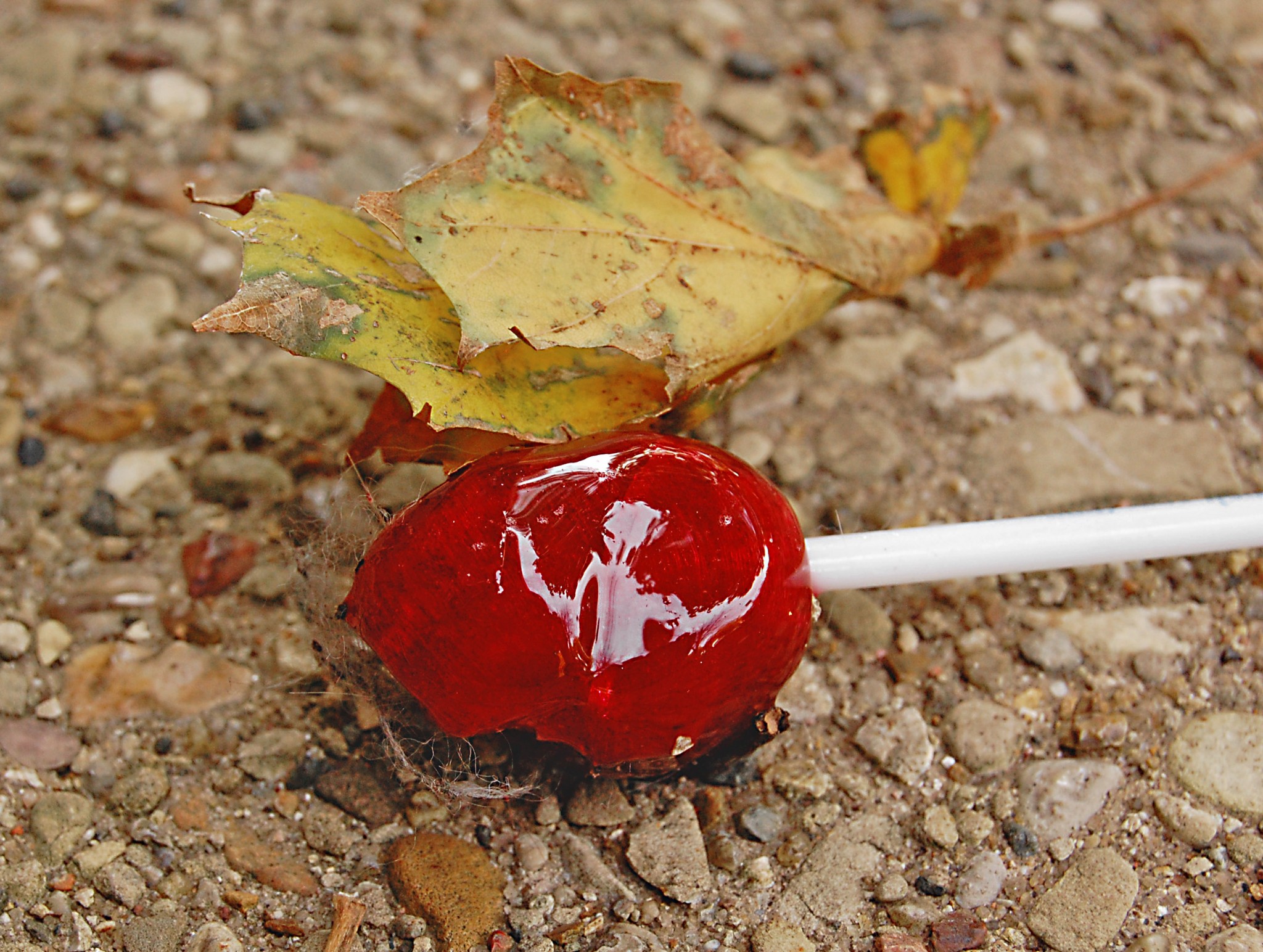 Red lollipop abandon on the pavement, with a yellow leaf on top.